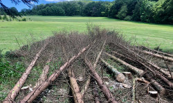 Forstbetrieb Gimbel - Forstarbeiten in Ihrem eigenen Wald