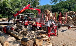 Forstbetrieb Gimbel - Brennholz zuschneiden