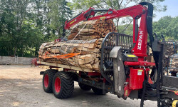 Forstbetrieb Gimbel - Brennholz liefern