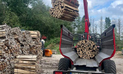 Forstbetrieb Gimbel - Brennholz liefern