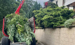 Forstbetrieb Gimbel - Grünschnitt abtransportieren