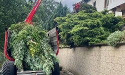 Forstbetrieb Gimbel - Grünschnitt abtransportieren