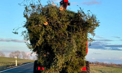 Forstbetrieb Gimbel - Grünschnitt abtransportieren