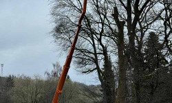 Forstbetrieb Gimbel - Durchführung von Verkehrssicherungsmaßnahmen