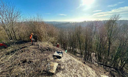 Forstbetrieb Gimbel - Durchführung von Verkehrssicherungsmaßnahmen