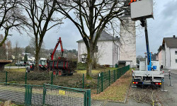 Forstbetrieb Gimbel - Durchführung von Verkehrssicherungsmaßnahmen