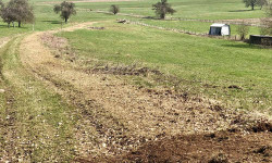 Forstbetrieb Gimbel - Flächen mulchen