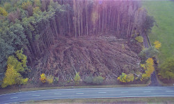 Forstbetrieb Gimbel - Verkehrssicherung erfolgreich umgesetzt